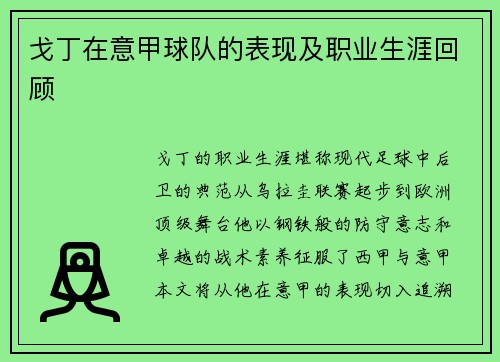 戈丁在意甲球队的表现及职业生涯回顾