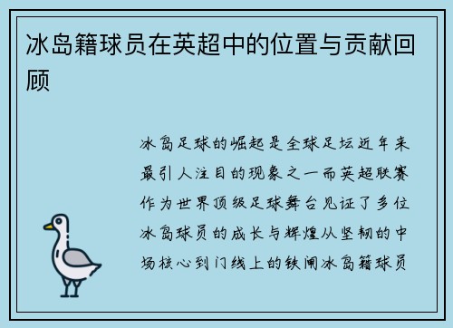 冰岛籍球员在英超中的位置与贡献回顾